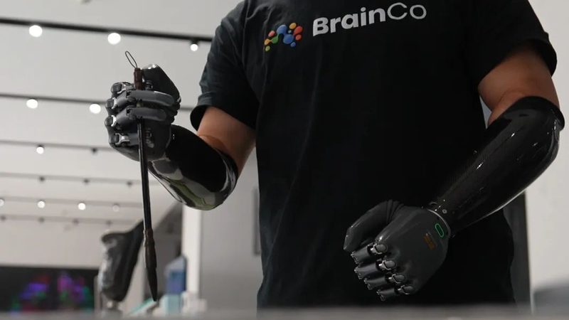 多语言搜索技术：跨越语言的数字桥梁